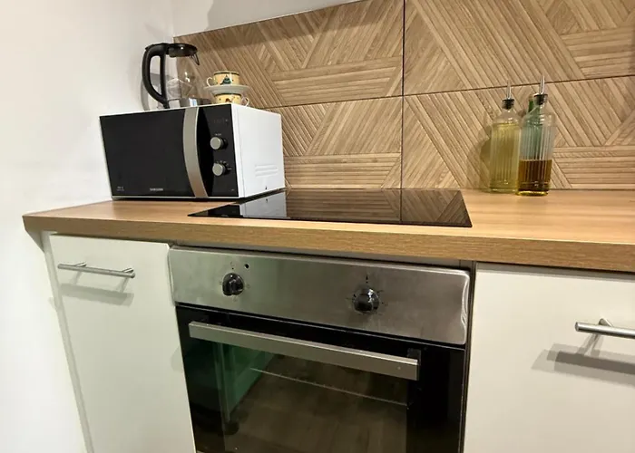 Appartement Spacieuxp Gratuitplage A 13 Min Proche Tram Appartement