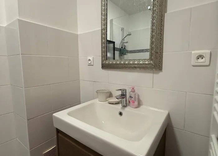 Appartement Spacieuxp Gratuitplage A 13 Min Proche Tram * Brest